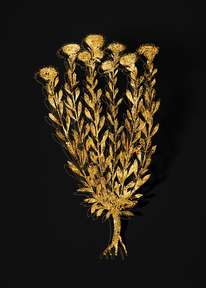 Gold Flora on Black