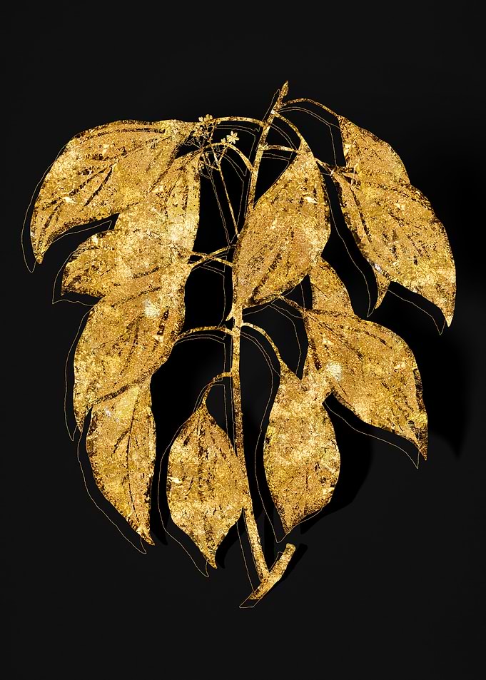 Gold Botanical on Black