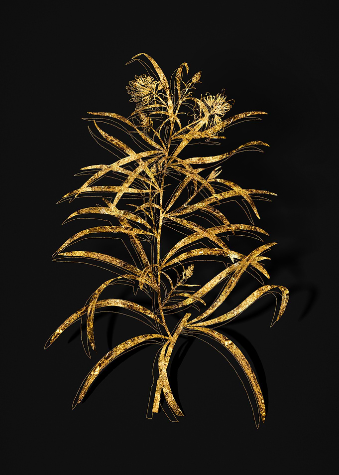 Gold Botanical on Black