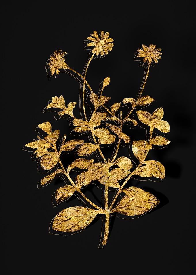 Gold Flora on Black