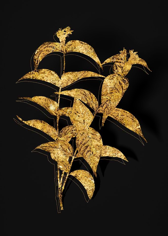 Gold Botanical on Black