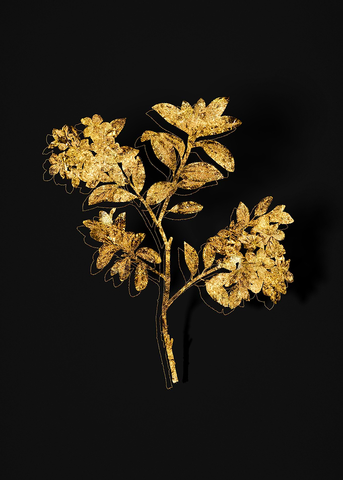 Gold Flora on Black