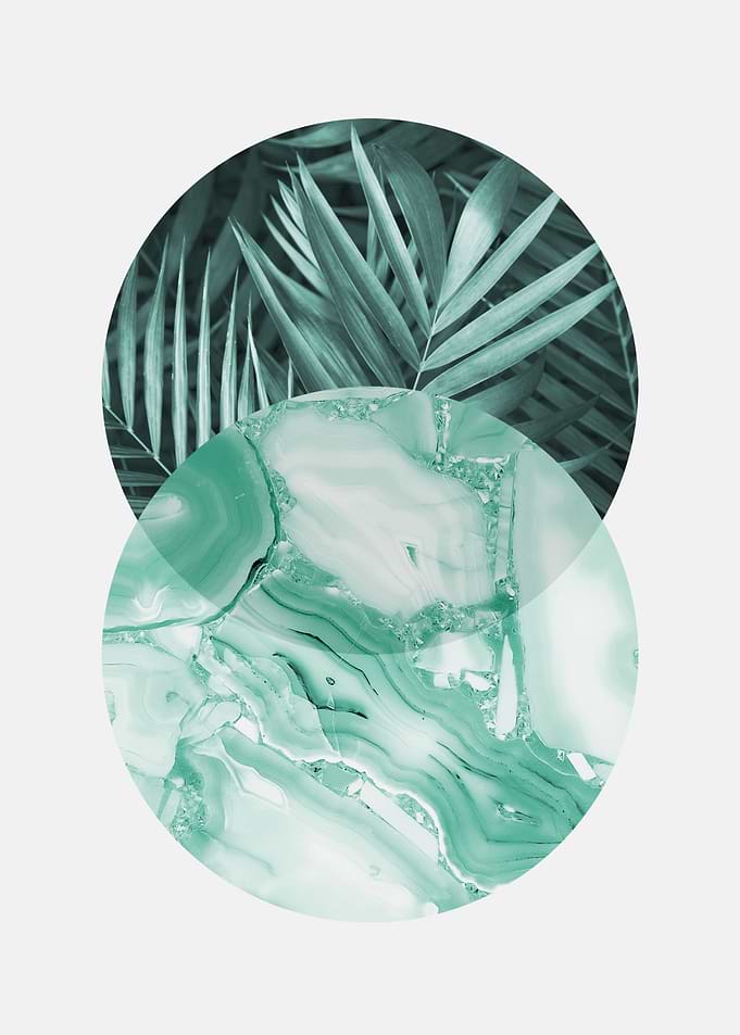Botanical polygons VII