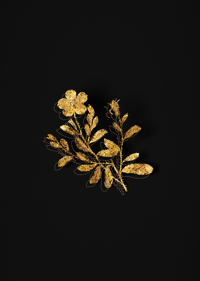 Gold Floral on Black