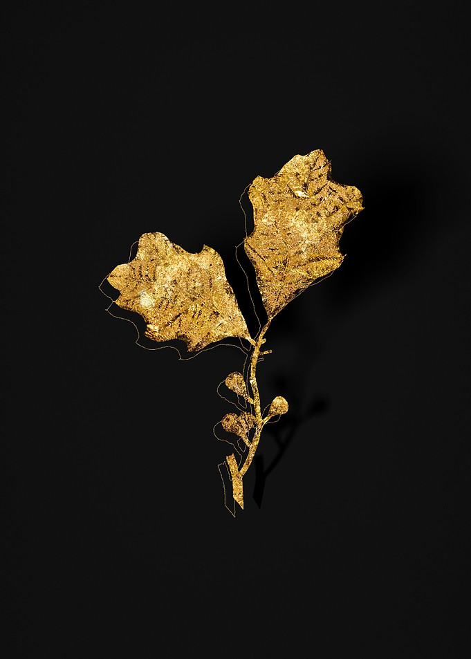 Gold Flora on Black