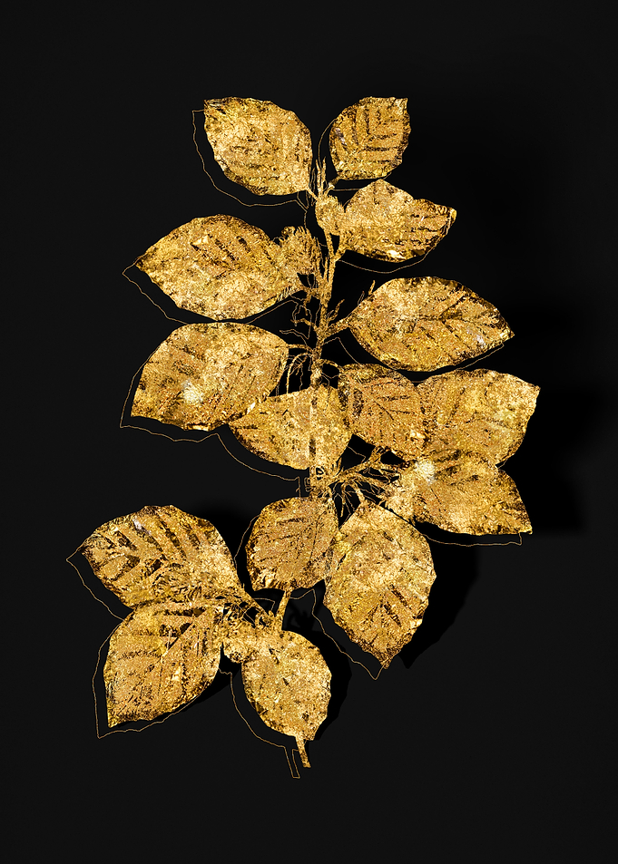 Gold Flora on Black