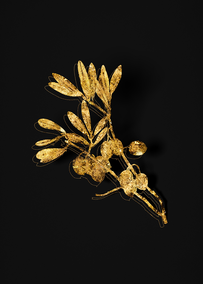Gold Botanical on Black