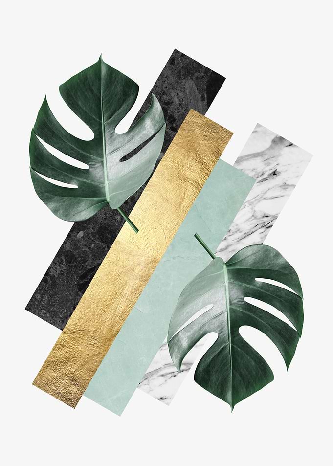 Botanical polygons IX