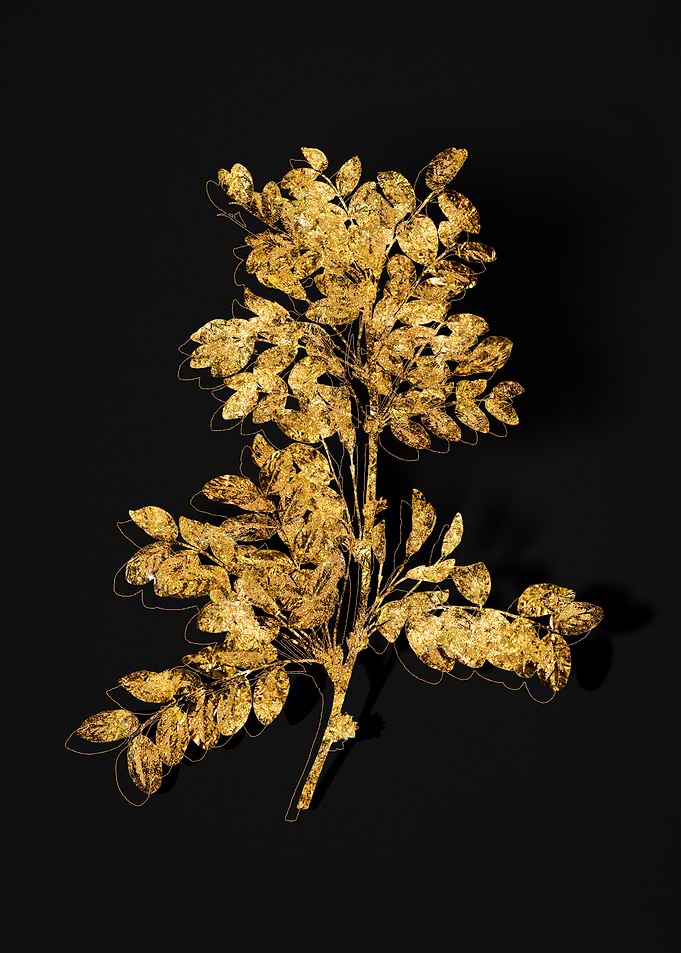 Gold Flora on Black