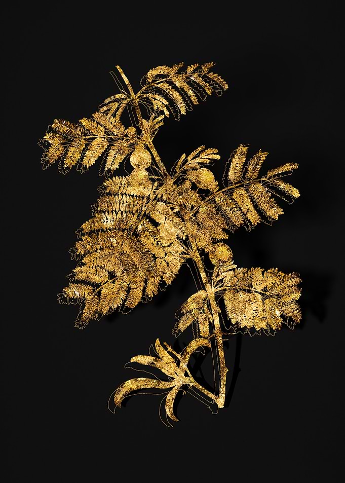 Gold Floral on Black