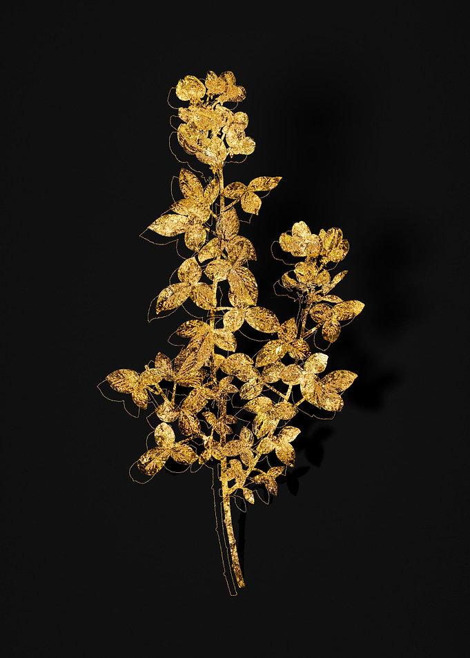 Gold Botanical on Black