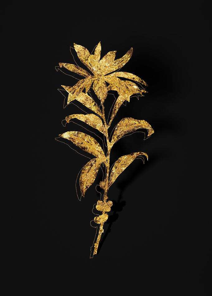 Gold Flora on Black