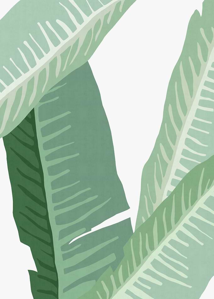 Colorful tropical leaf III