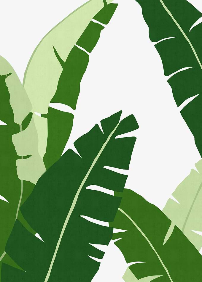 Colorful tropical leaf V