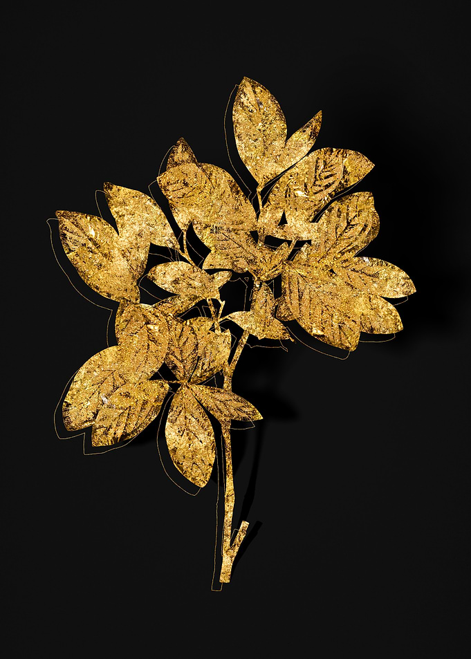 Gold Flora on Black