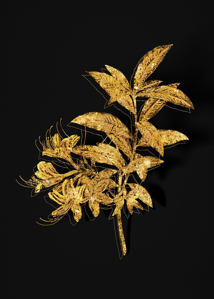Gold Botanical on Black
