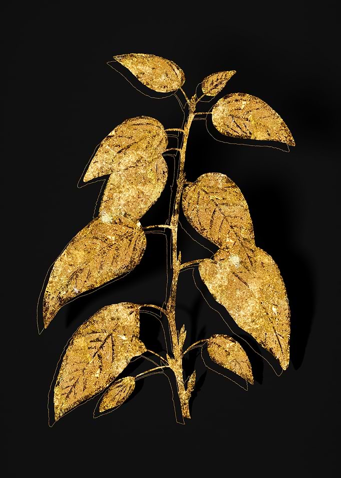 Gold Flora on Black