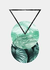 Botanical polygons I