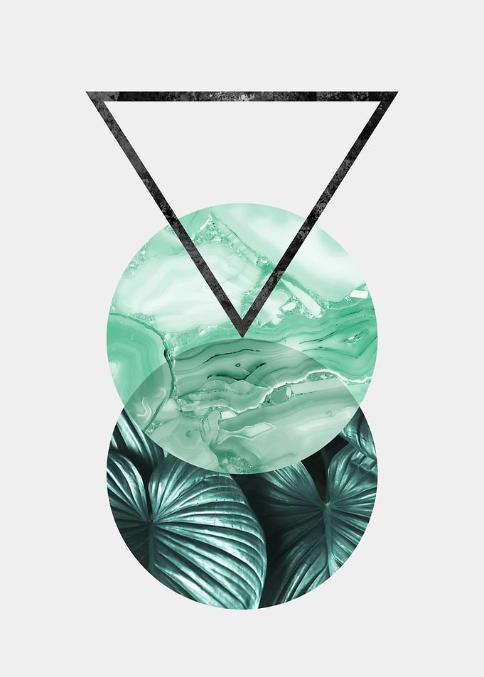 Botanical polygons I