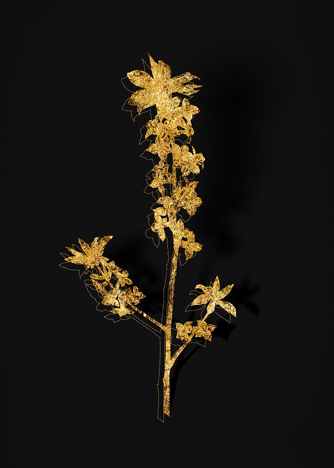 Gold Flora on Black