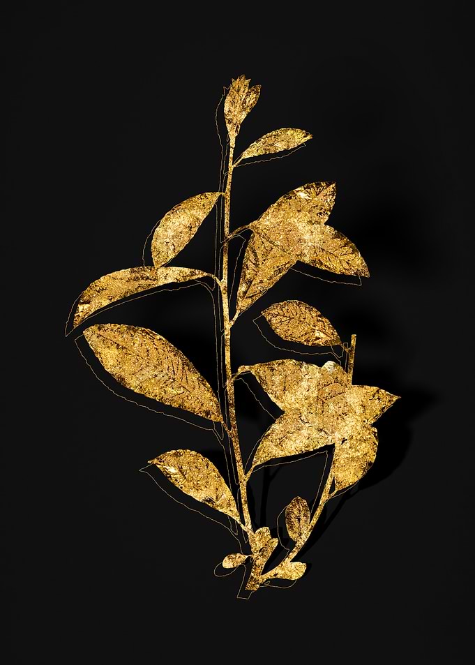 Gold Flora on Black