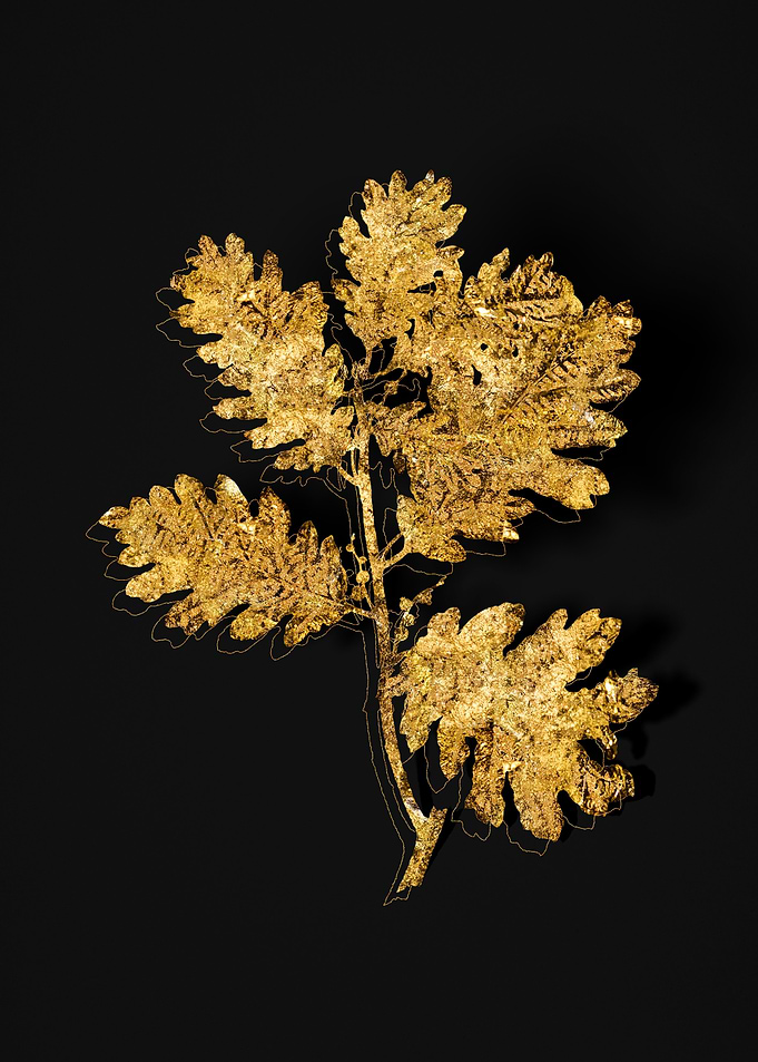 Gold Flora on Black