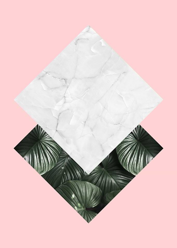 Natural polygon II