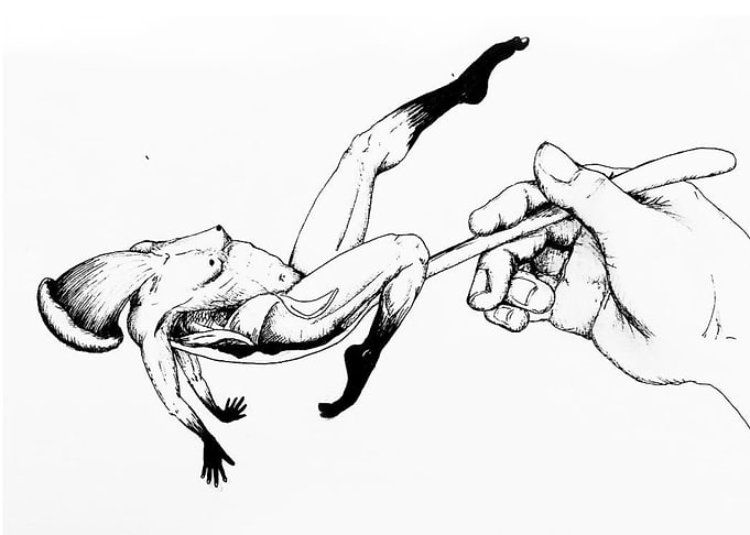 Bite Me