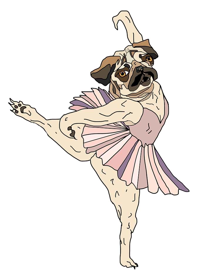 Puppy Pug Dog Dancer