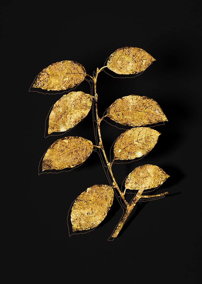 Gold Flora on Black