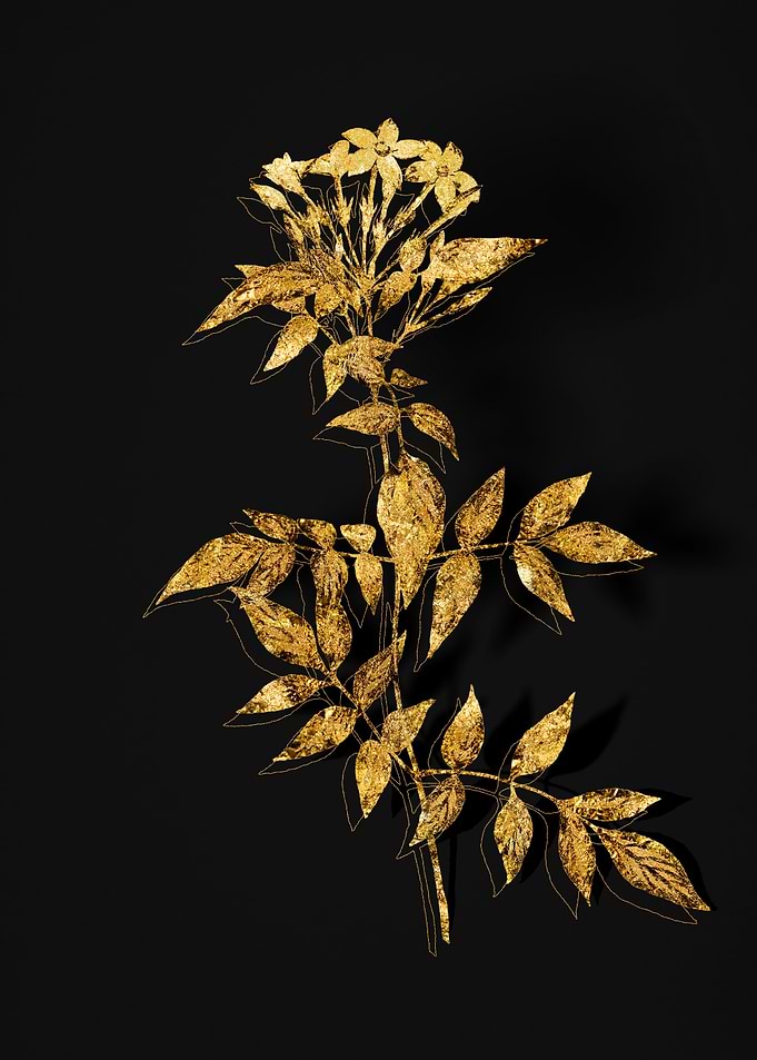 Gold Flora on Black