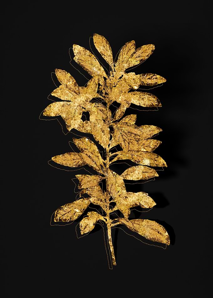 Gold Flora on Black