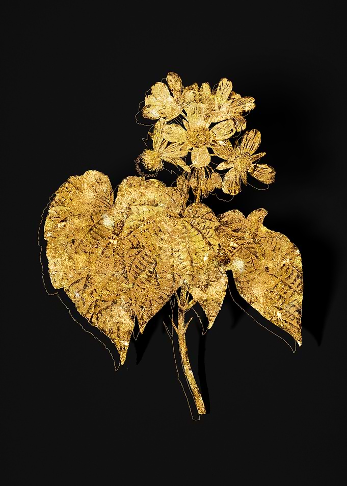 Gold Flora on Black