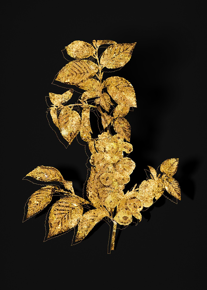 Gold Flora on Black