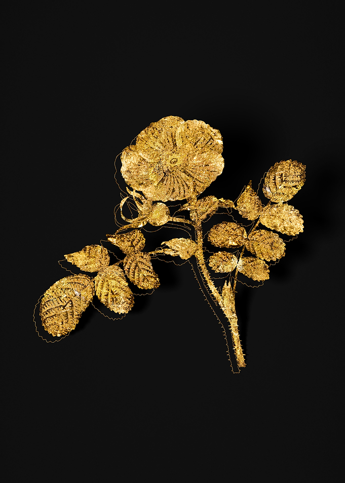 Gold Flora on Black