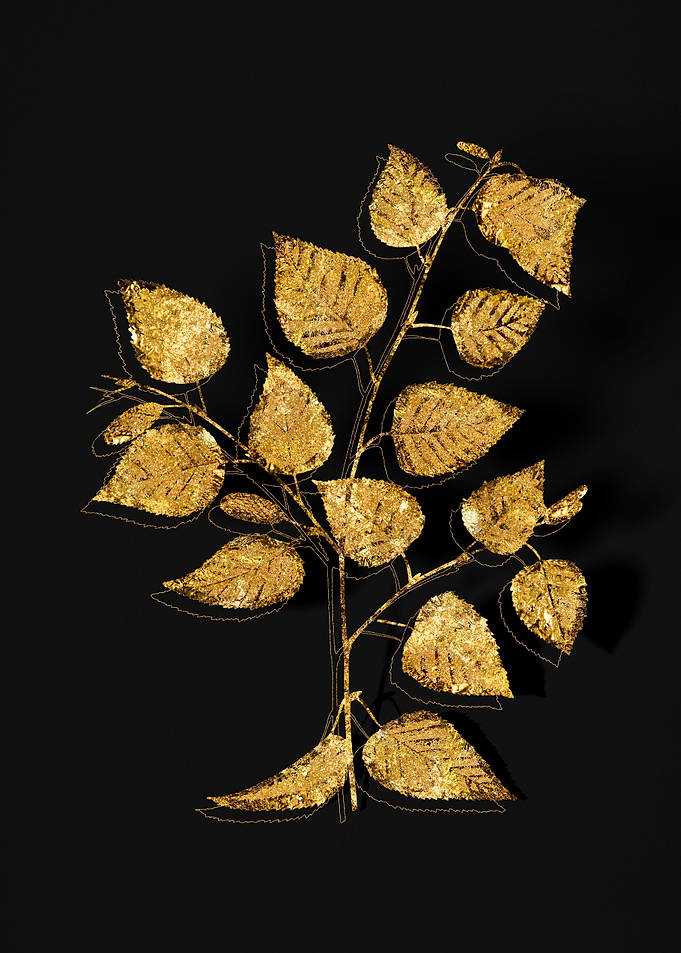 Gold Botanical on Black