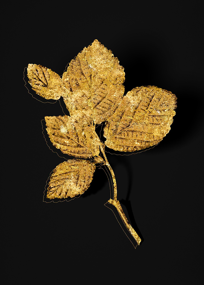 Gold Botanical on Black