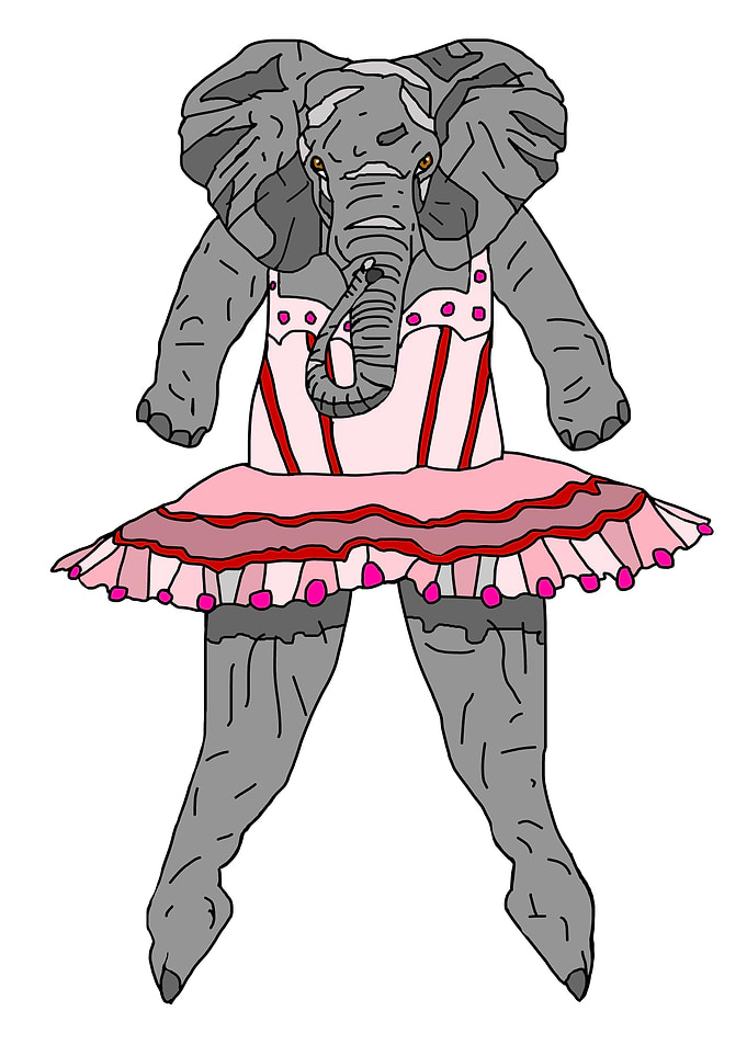 Elephant Dancer