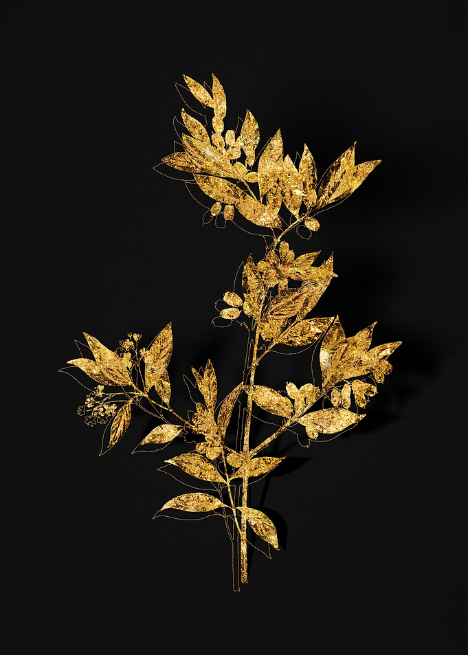 Gold Floral on Black