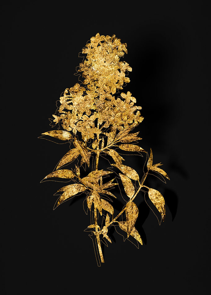 Gold Flora on Black