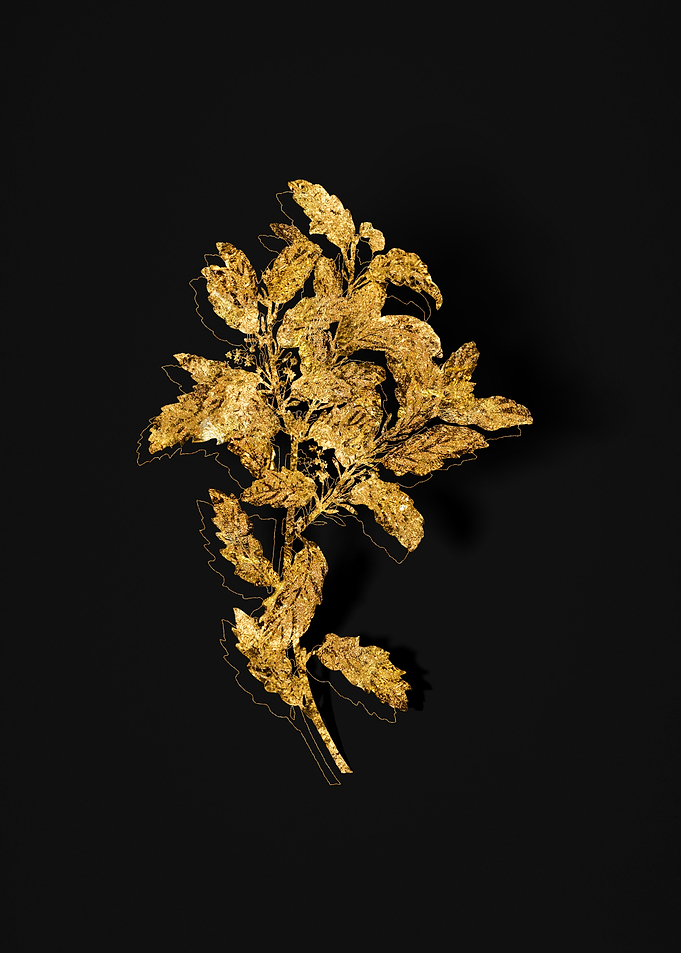 Gold Flora on Black