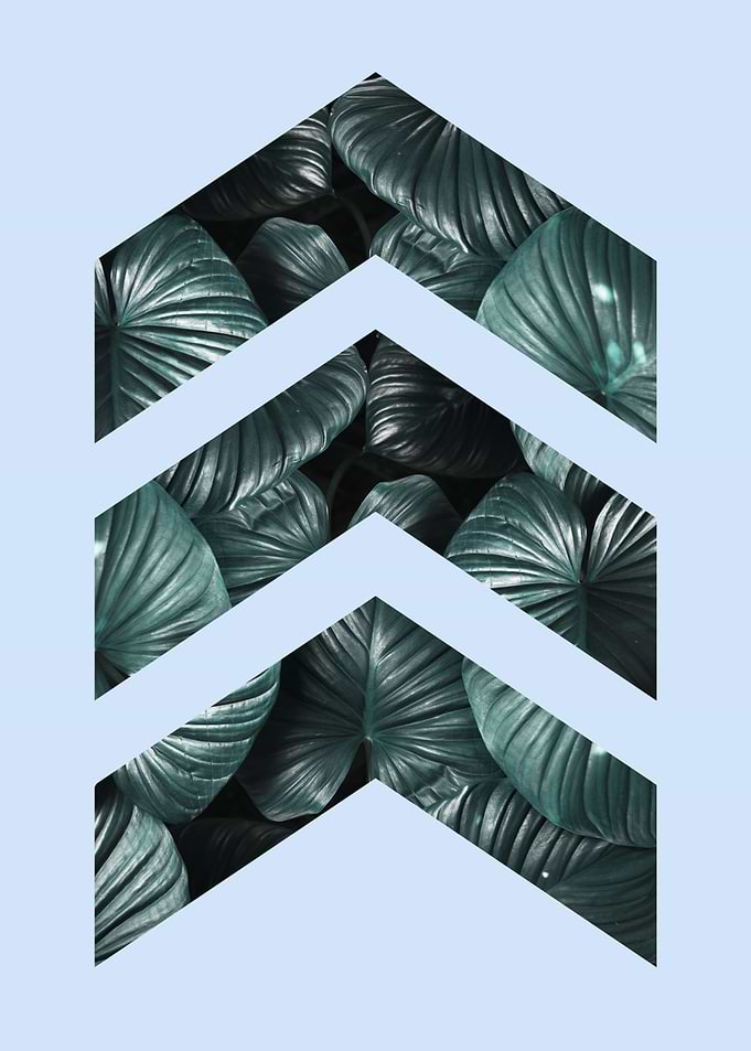 Natural polygon IV