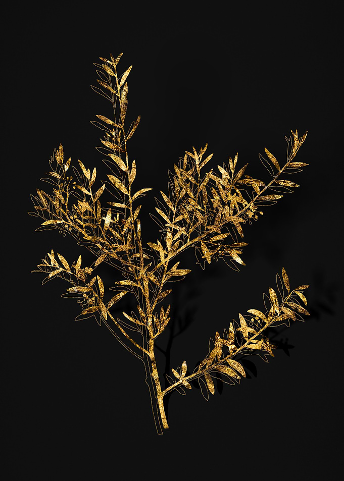 Gold Botanical on Black
