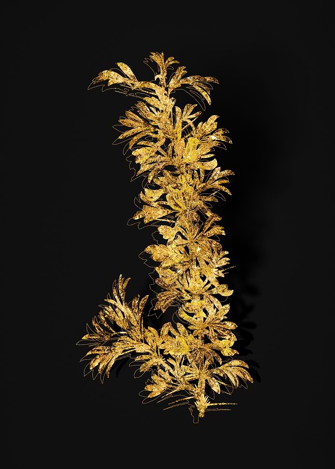 Gold Botanical on Black
