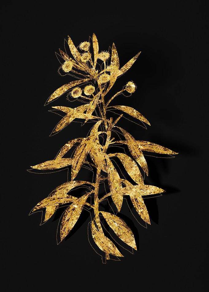 Gold Flora on Black