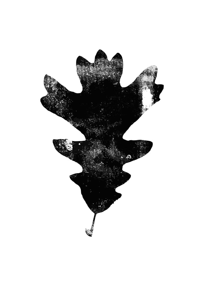 Oak leaf
