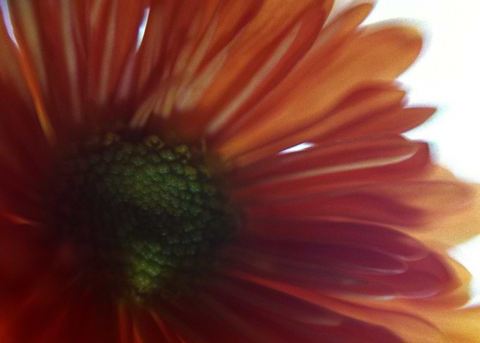 Untitled 12