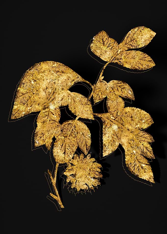Gold Botanical on Black