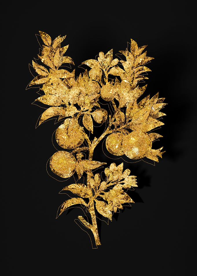 Gold Flora on Black