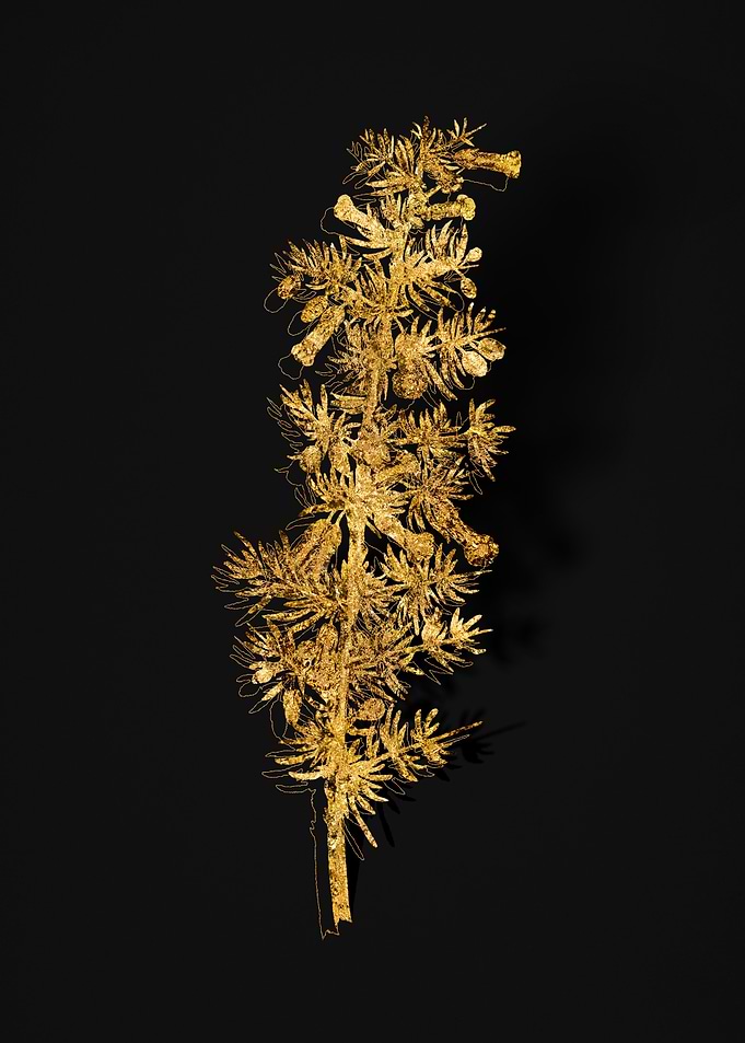 Gold Flora on Black